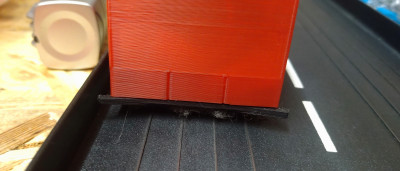 SAUGER006.JPG