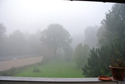 ein schöner Tag für´n Aufbau eines Servo Tisches